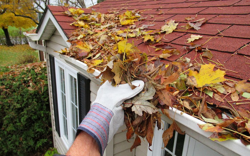 Essential Fall Home Maintenance in St. Louis