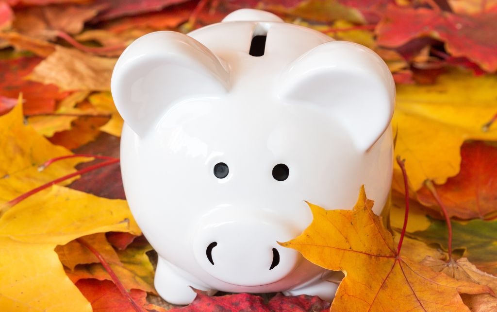 Fall Savings Buydown