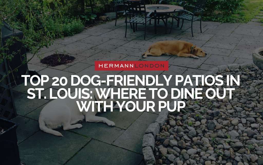 Top 20 Dog-Friendly Patios in St. Louis: Where to Dine Out With Your Pup