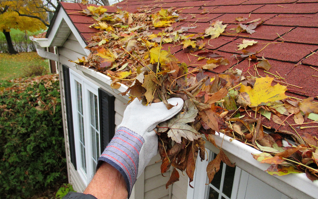 Why Fall Is the Perfect Season to Negotiate Real Estate in St. Louis